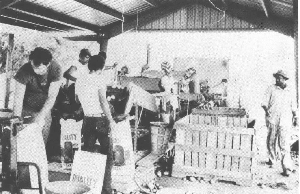 In Southwest Experiment in New Communities Facing South